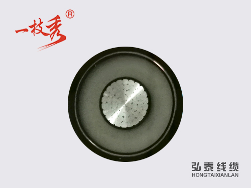 1543498980419699.jpg YJLV-26.jpg